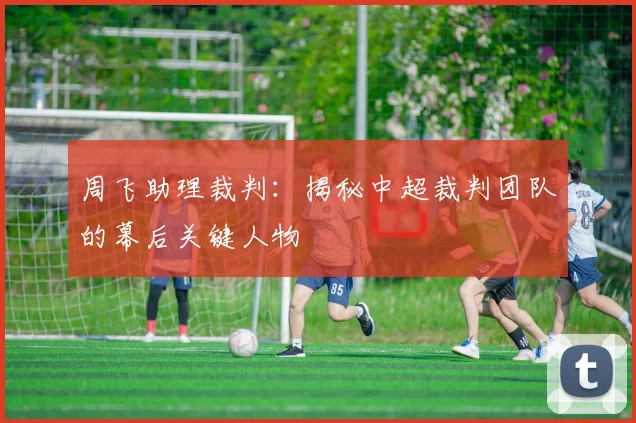 周飞助理裁判：揭秘中超裁判团队的幕后关键人物