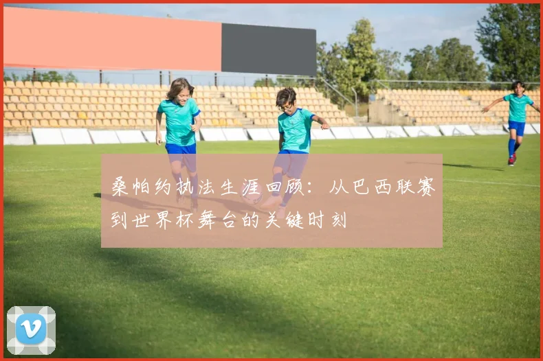 桑帕约执法生涯回顾：从巴西联赛到世界杯舞台的关键时刻